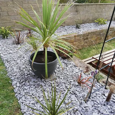 The Captain Cook 4* סטיית'ס